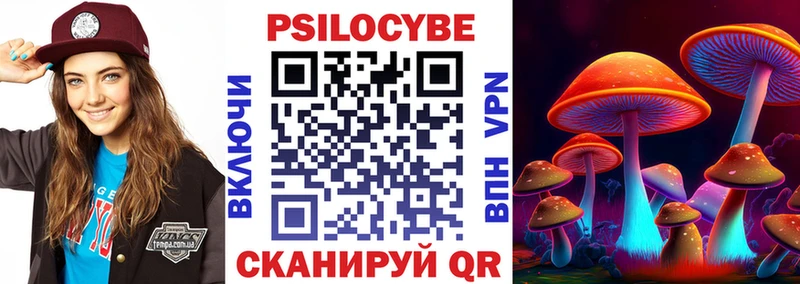 Купить закладки  Павлово  Псилоцибиновые грибы Psilocybine cubensis 